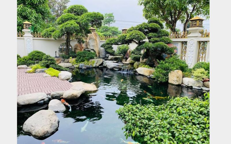 Bố trí ánh sáng và cây xanh hợp lý